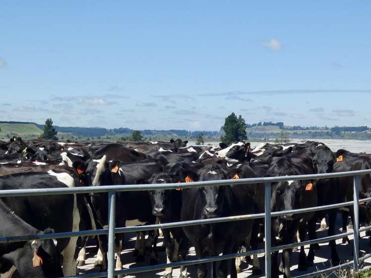 400 Keens Road Springfield_13