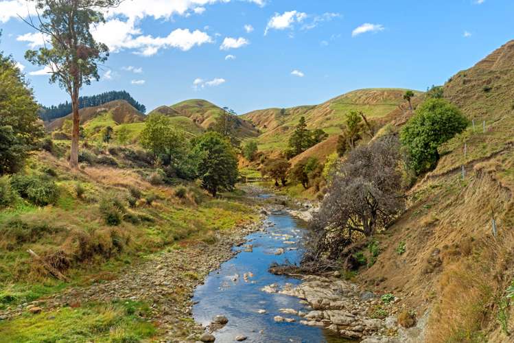 3643 Wharekopae Road Rere_5