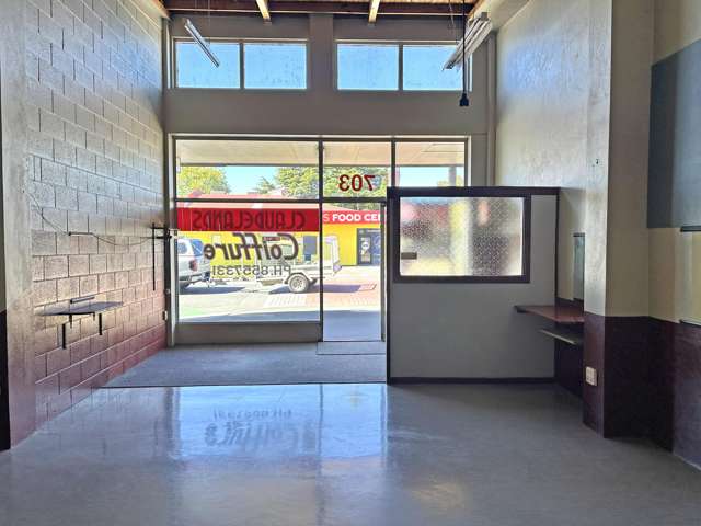 705 Grey Street Hamilton East_4