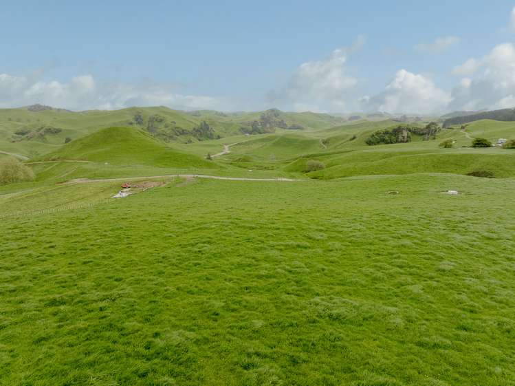 Lot 3, 189 Pahihi Road Tirau_1