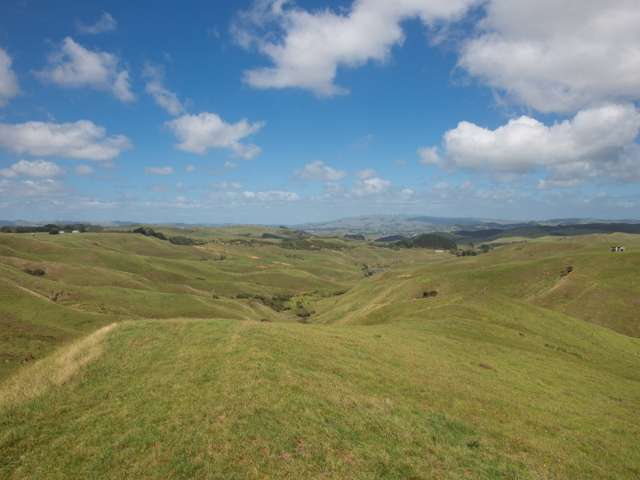 1033 Mangiti Road Te Akau_3