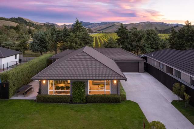 134 Turnbull Drive Witherlea_1