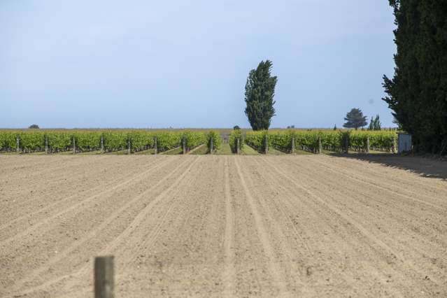 Lot 1 Dunstan Road Matawhero_1