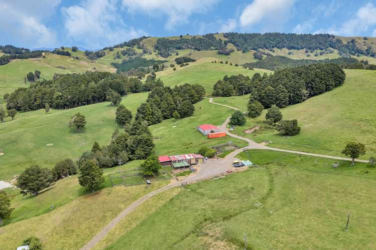 Pipiwai Road Purua_2