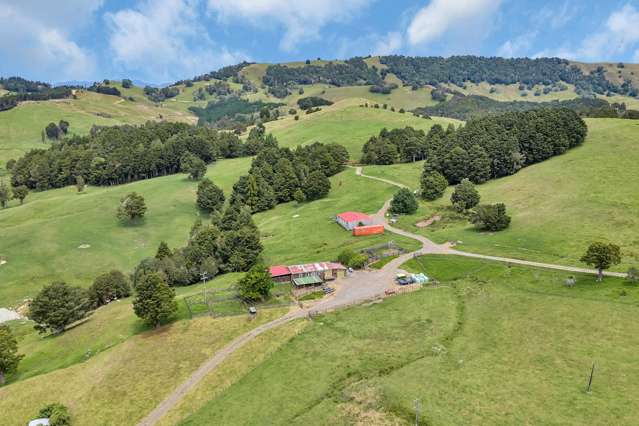 Pipiwai Road Purua_2