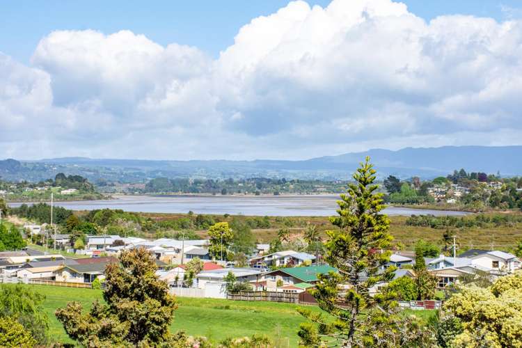 27 Carlton Street Bellevue_7