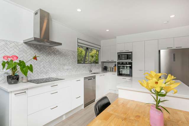 23 Leo Street Glen Eden_3