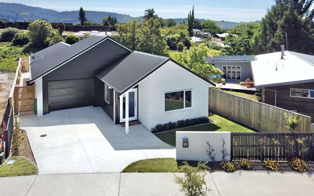 85 Dunlop Road Te Puke_1