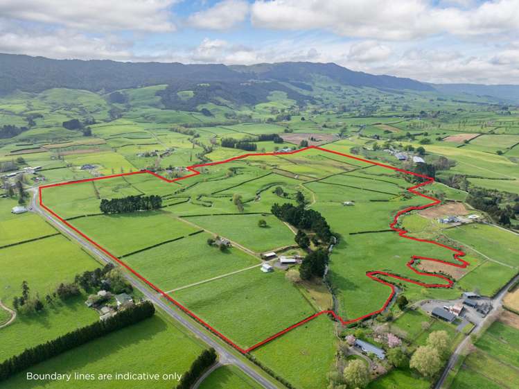 334 Okauia Springs Road Okauia_19