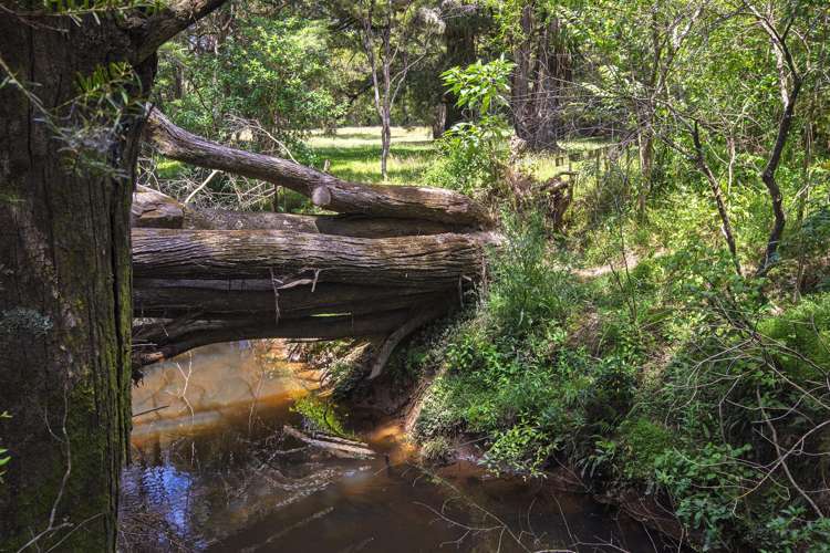 726d Ngunguru Ford Road Kiripaka_16