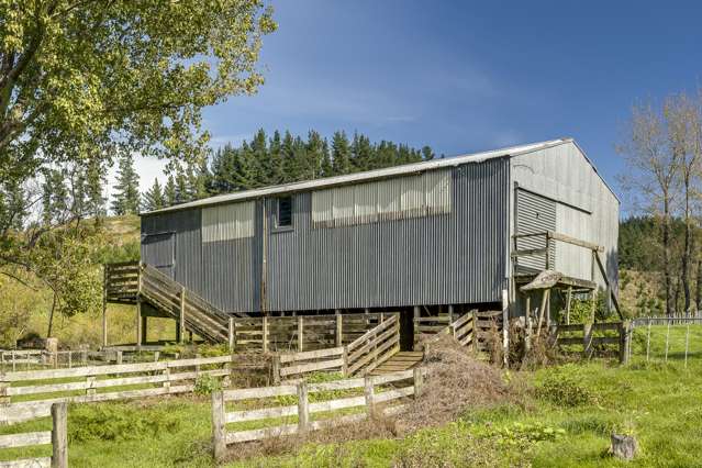 888 Kakariki Farm Road Kotemaori_1