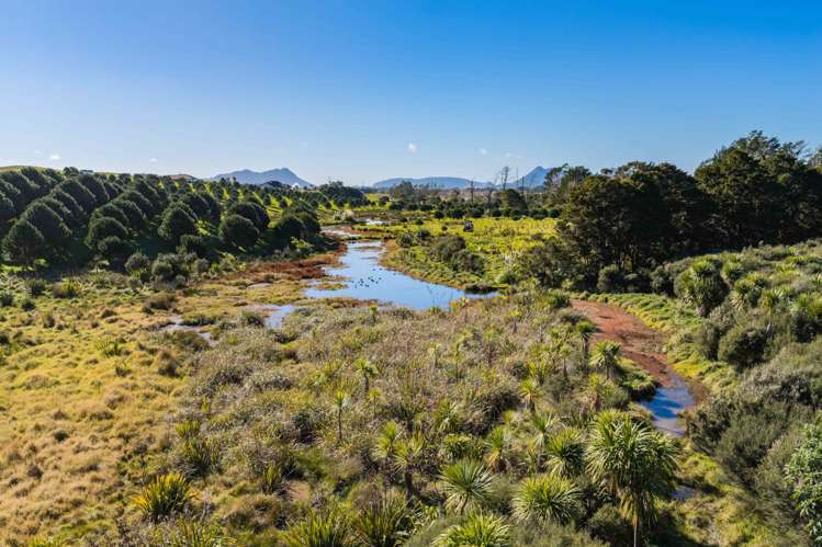 173 Prescott Road Ruakaka_8