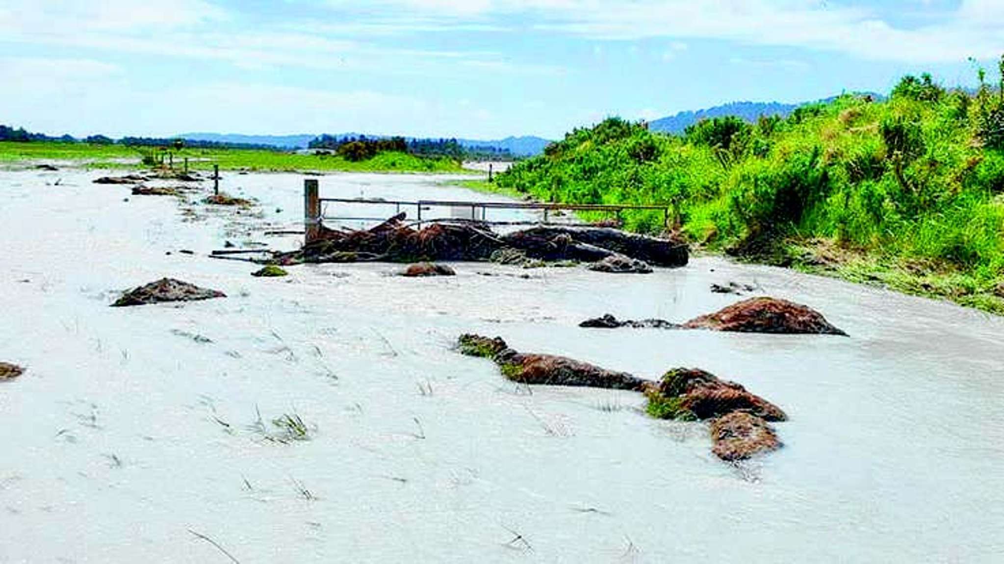 Swollen river steals large part of farm