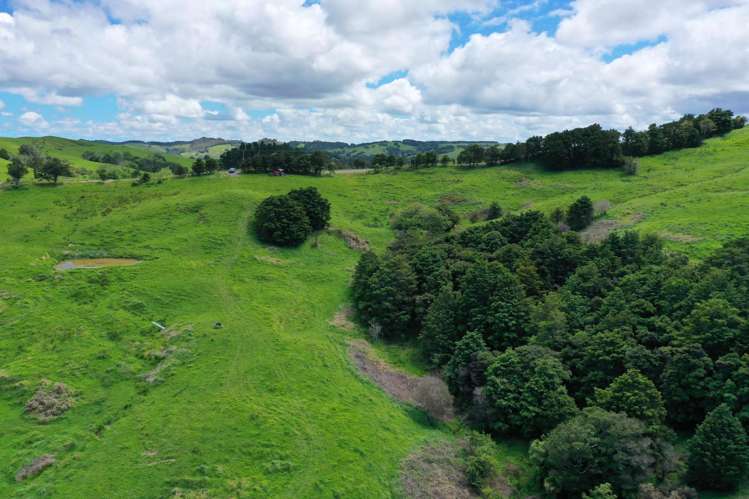 Lot/2 Wearmouth Road Paparoa_3