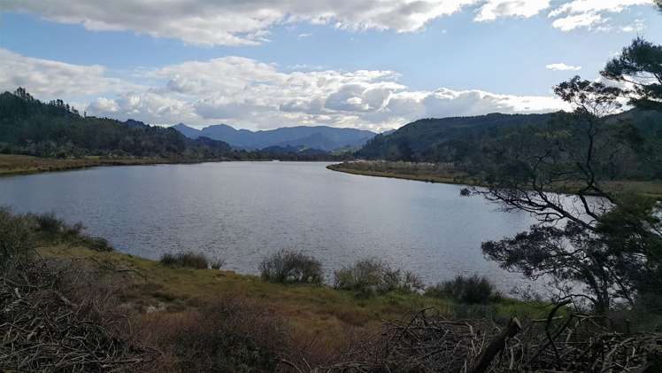 671 Hikuai Settlement Road Pauanui_18