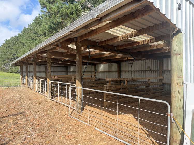 1026 Limeworks Loop Road Karamu_27