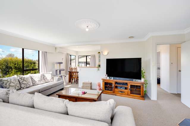 7 David Street Nawton_4