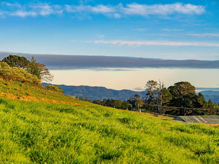 Lot Lot 1 Ross Road Whakamarama_15