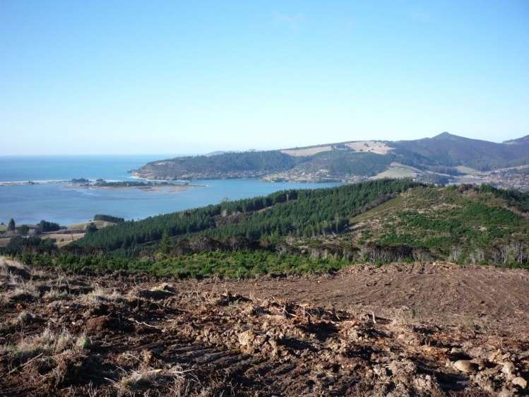 113 Wright Road Evansdale_2