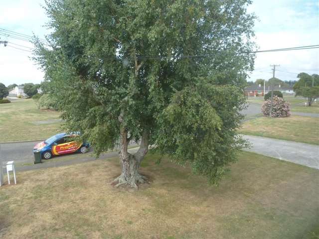 38 Devon Crescent Bulls_1