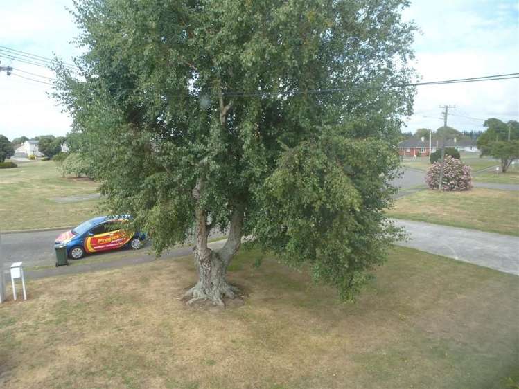 38 Devon Crescent Bulls_1