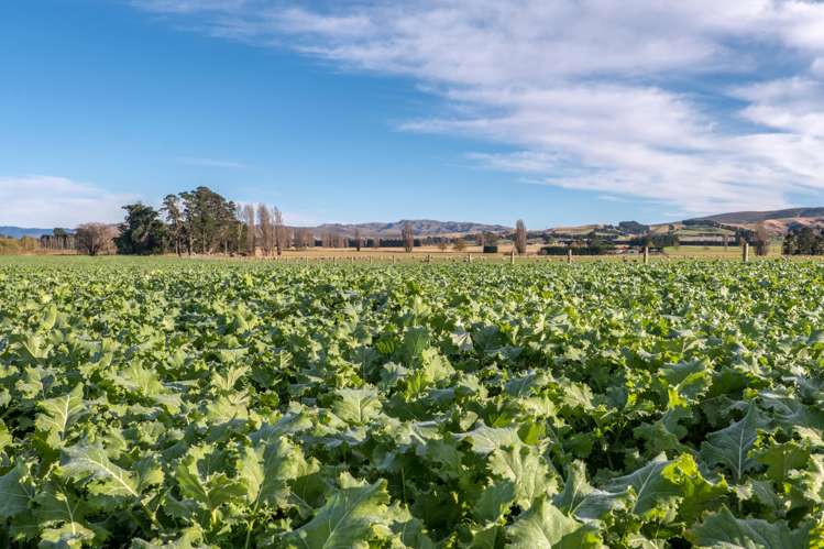274 Glenmark Drive Waipara_2