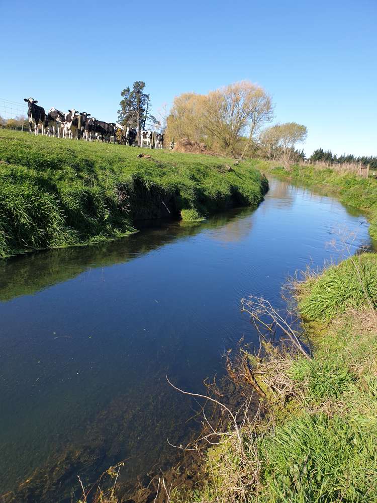 148 Butchers Road Clarkville_18