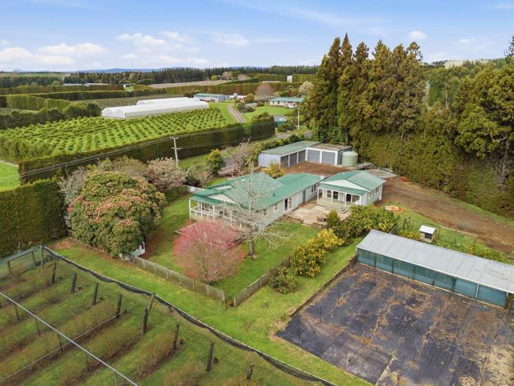 1040 Te Matai Road Te Puke_1