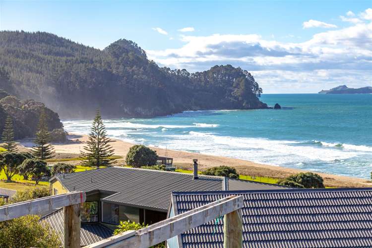 321a Onemana Drive Onemana_5