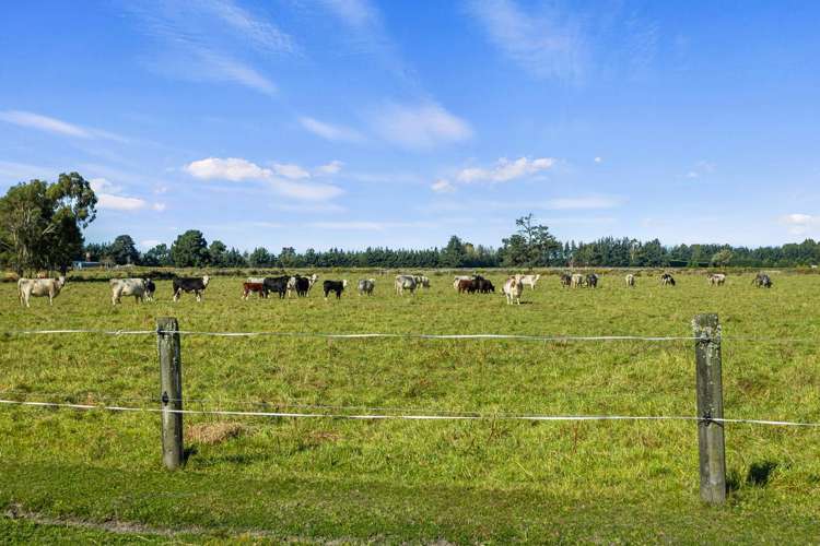 221 Smiths Road Leithfield_33