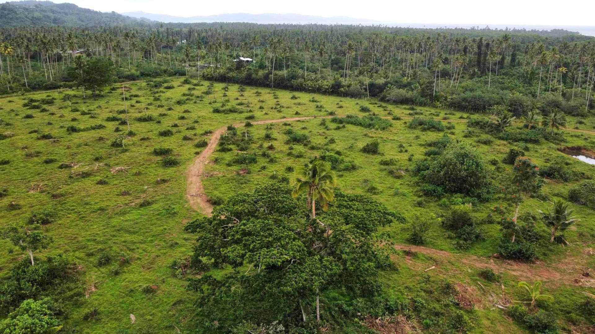 lot1,2,3,4 Belego Estate, Savusavu Vanua Levu_0