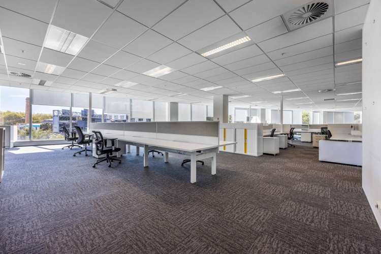 27 Napier Street Freemans Bay_18