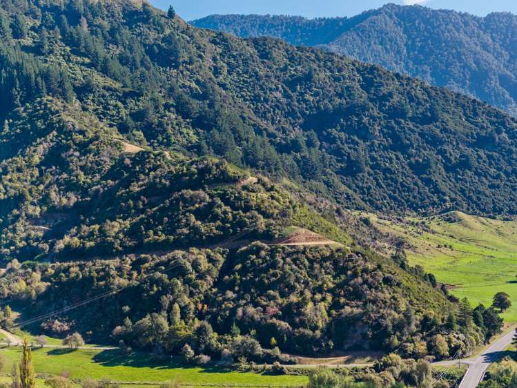 State Highway 6 Havelock_16