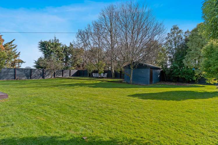 95 David Street Hinds_30