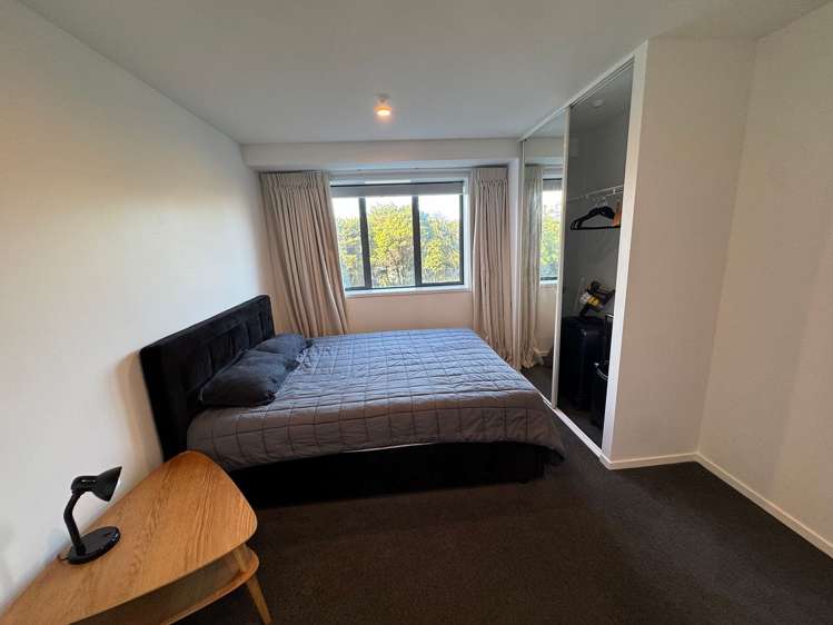 6 Winchester Street Grey Lynn_9