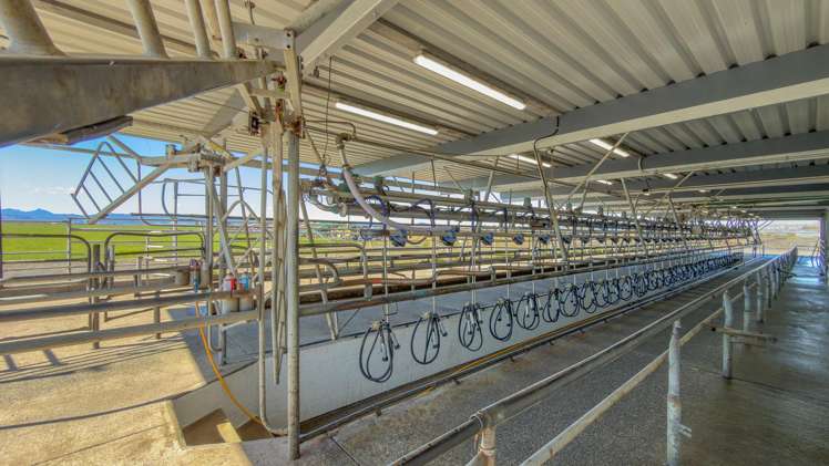 400 Hopai West Road Waitakaruru_6