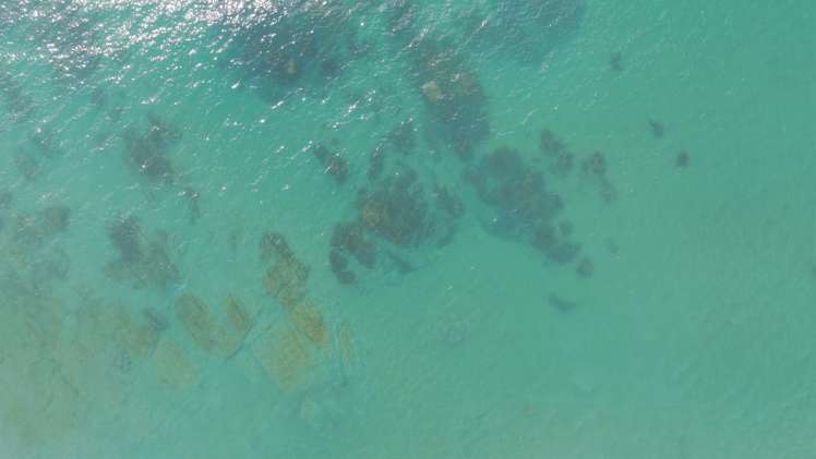 202 Pourerere Beach Road Central Hawkes Bay Coastal_11