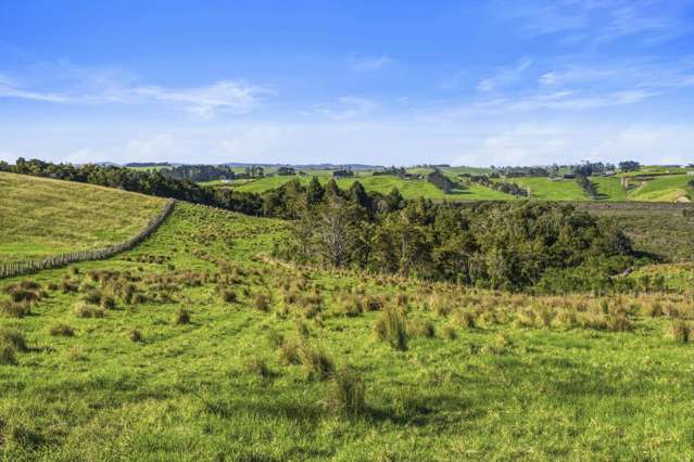 Lot 4/186 Metcalfe Road Matakohe_2