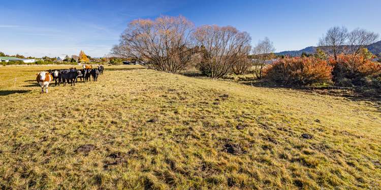 62 Arawa Street Ohakune_3