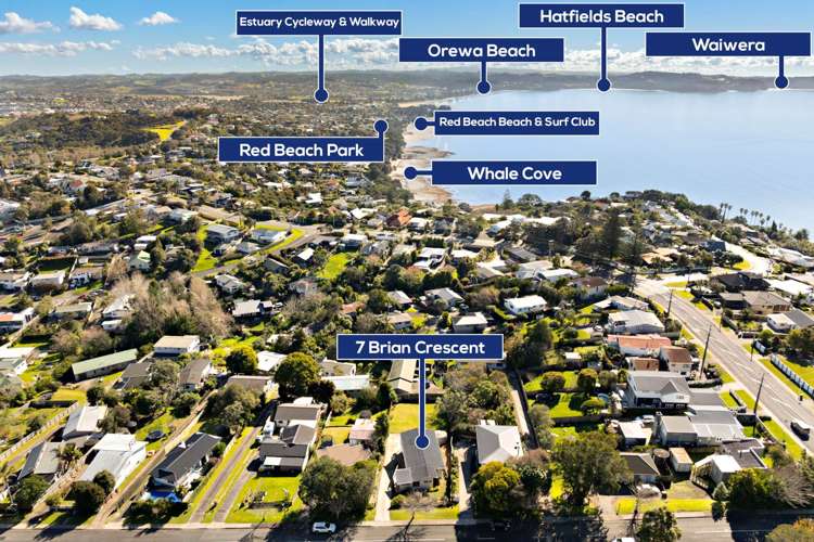 7 Brian Crescent Stanmore Bay_11