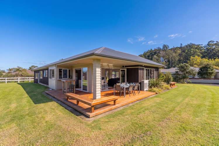 294 Albert Street Coromandel_6