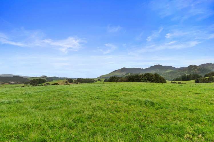 Pukehuia Road Tangiteroria_10