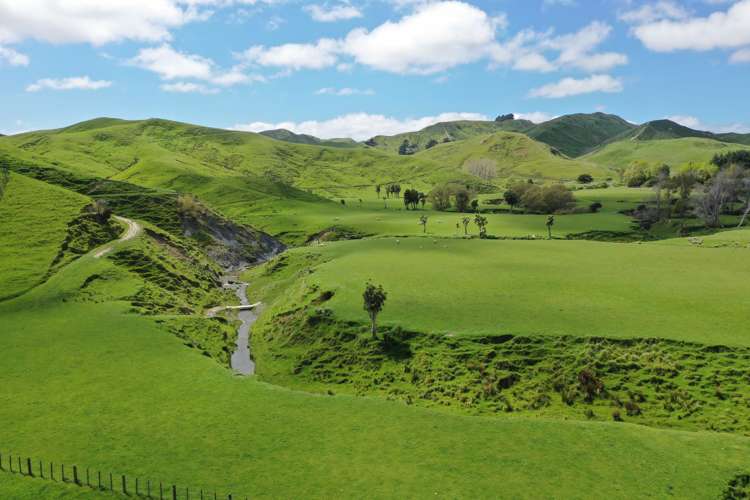 13151 Puketawa Road Tiraumea_7