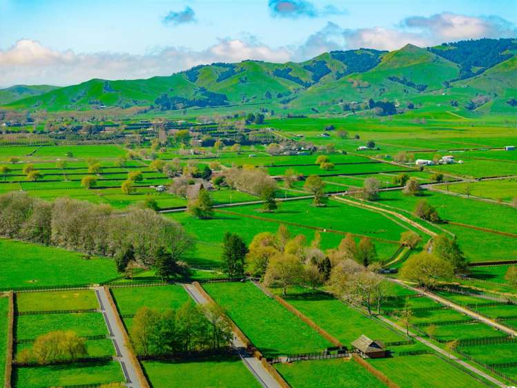 122 Rotoorangi Road Cambridge_5