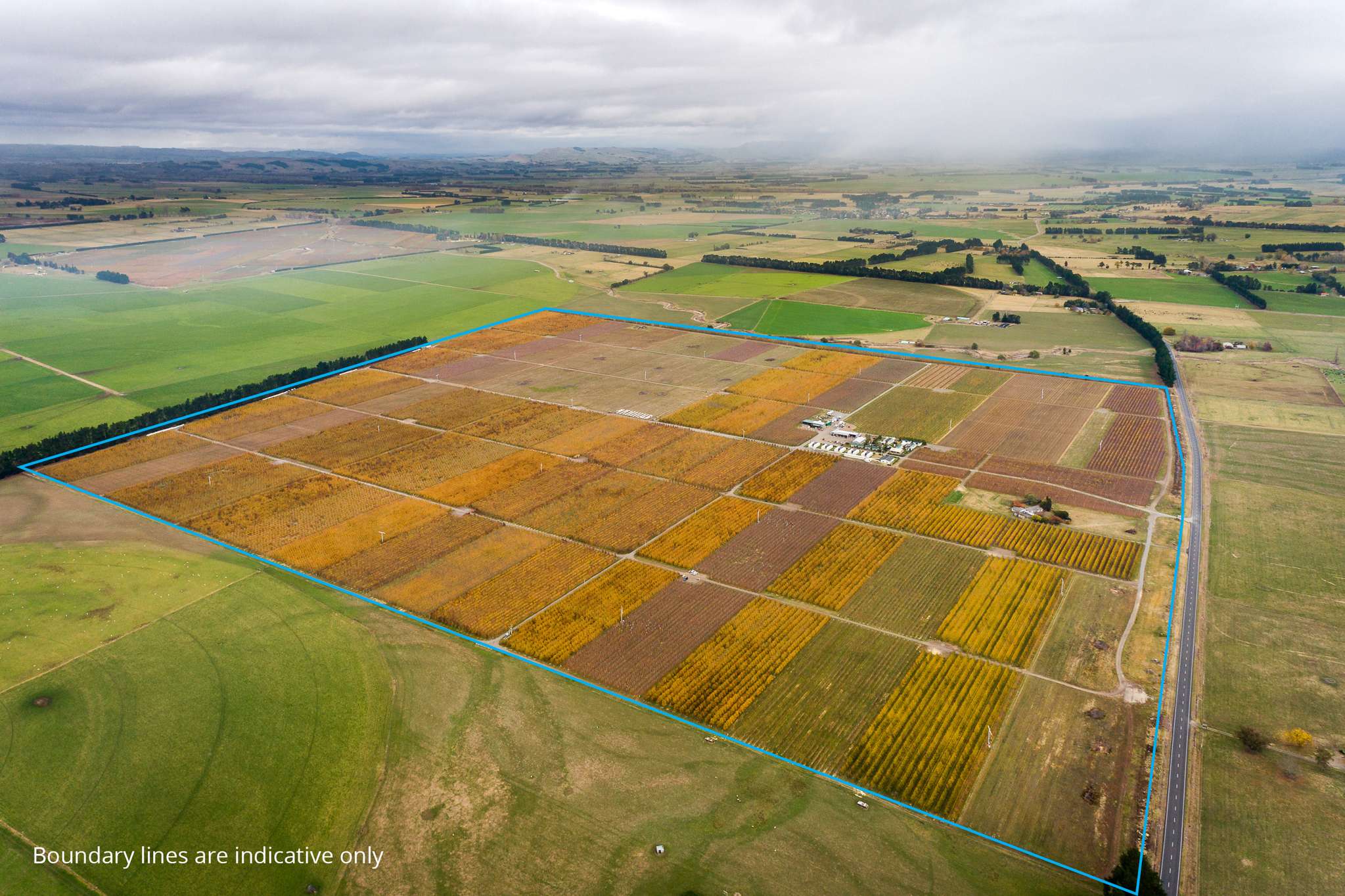 Major Hawke’s Bay orchard available to market