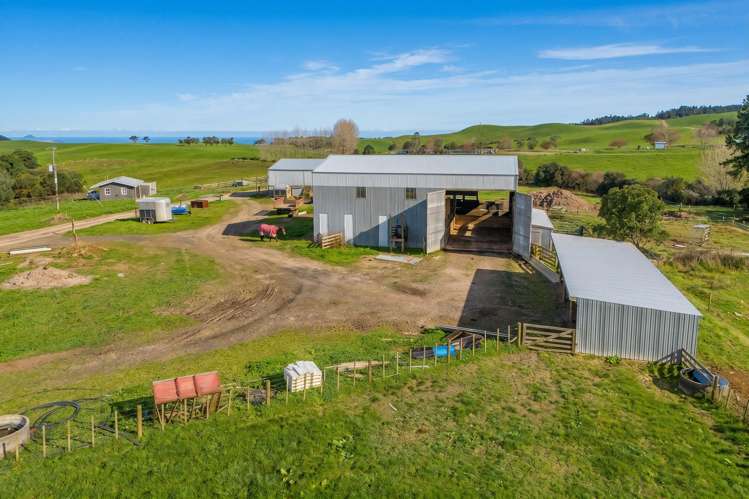 165 McBeth Road Hikuai_10