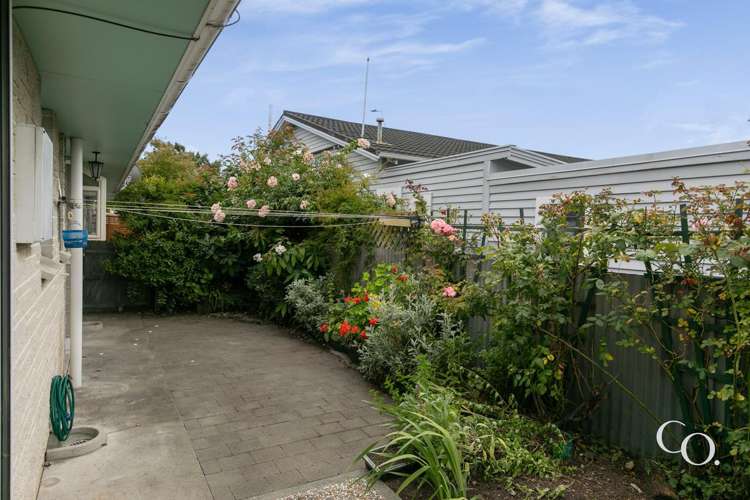 311a Southampton Street West Hastings_18