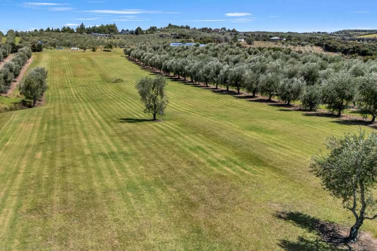 79 Leccino Valley Road_3