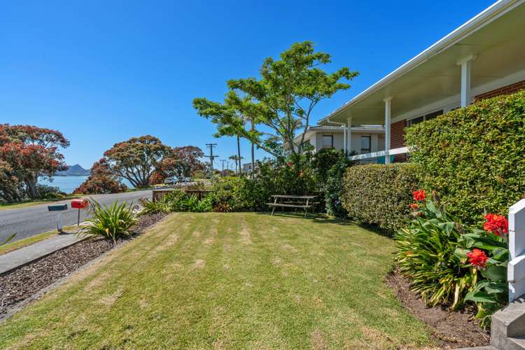 247 One Tree Point Road One Tree Point_7