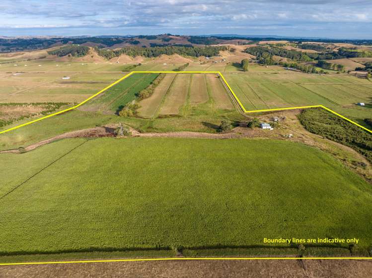 229 Wily Road Puni_8